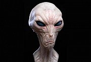 The Dulce Wars Life-Size Bust Alien Grey 61 cm