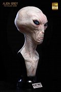 The Dulce Wars Life-Size Bust Alien Grey 61 cm