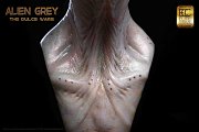 The Dulce Wars Life-Size Bust Alien Grey 61 cm