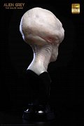 The Dulce Wars Life-Size Bust Alien Grey 61 cm