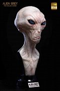 The Dulce Wars Life-Size Bust Alien Grey 61 cm