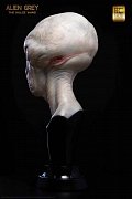 The Dulce Wars Life-Size Bust Alien Grey 61 cm