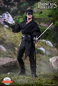 The Princess Bride Master Series Action Figure 1/6 Westley/Dread Pirate Roberts 30 cm