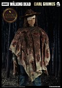 The Walking Dead Action Figure 1/6 Carl Grimes Deluxe Version 29 cm