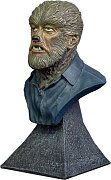 Universal Monsters Mini Bust The Wolf Man 15 cm --- DAMAGED PACKAGING