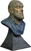 Universal Monsters Mini Bust The Wolf Man 15 cm --- DAMAGED PACKAGING