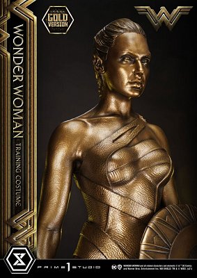 Wonder Woman Statue Wonder Woman Training Costume Gold Version 80 cm